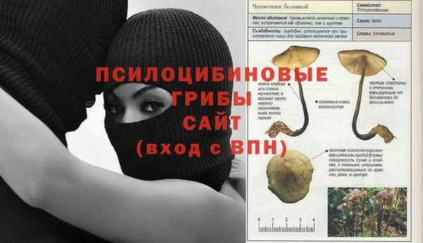 a pvp Богородск