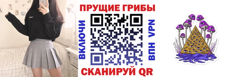Псилоцибиновые грибы Psilocybine cubensis  Томск 